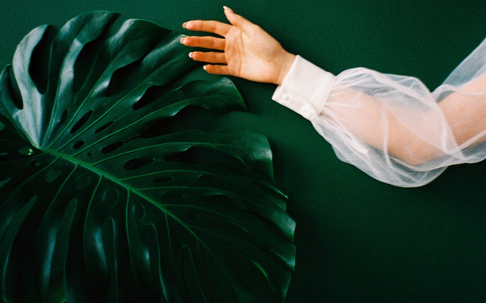 Agfa Precisa Lightroom preset — vivid cross-processed film look by PresetVault
