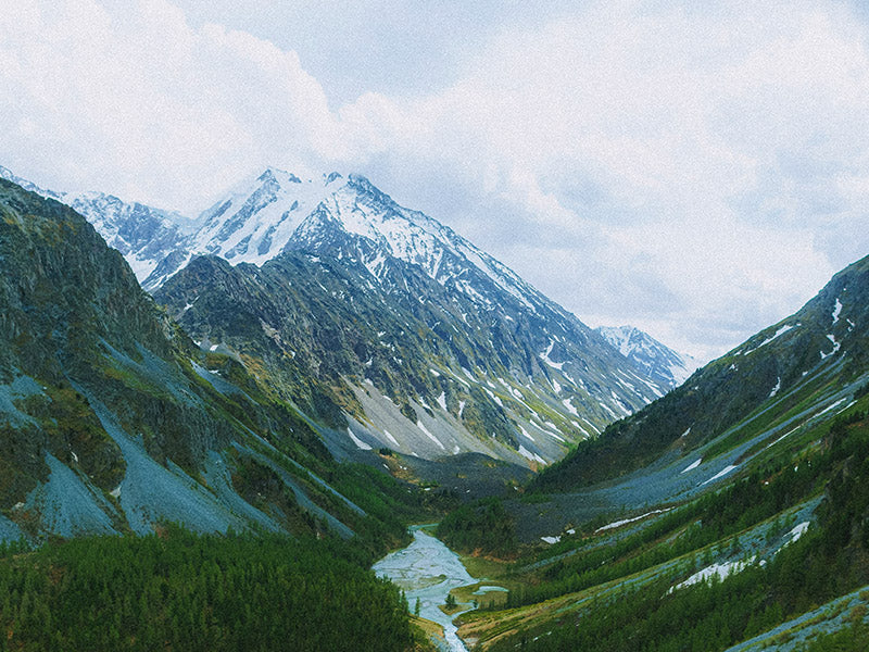 Fujifilm inspired Lightroom preset — vivid saturated summer film look by PresetVault 