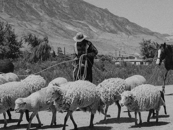 portrait of a farmer with animals edited with Ilford HP5 Plus 400 film emulation preset — punchy black and white contrast