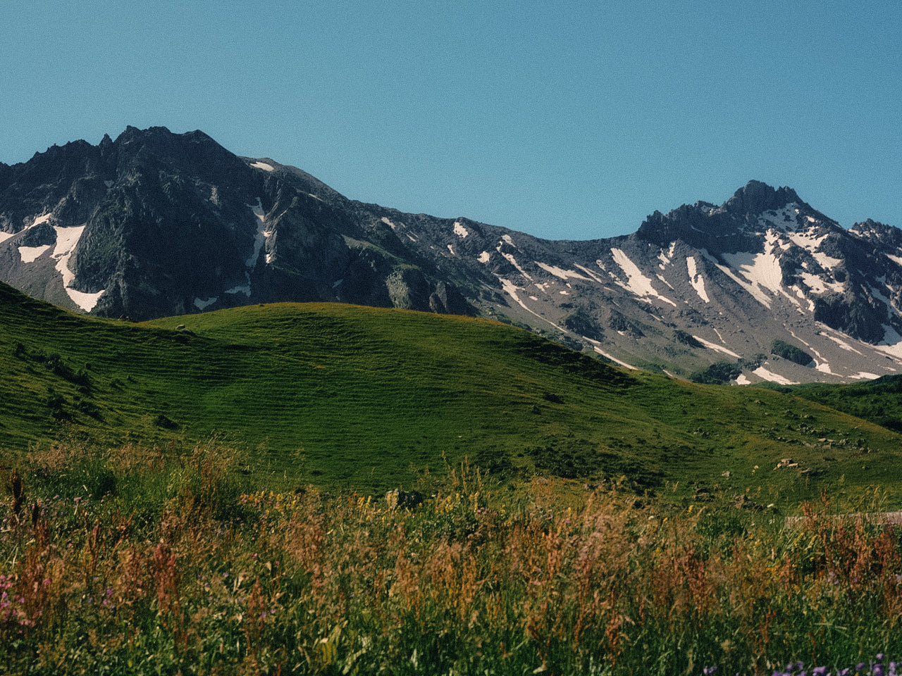 Mountain landscape with green grass and snow-capped peaks under a clear blue sky - Kodak Portra 400 film emulation preset by PresetVault